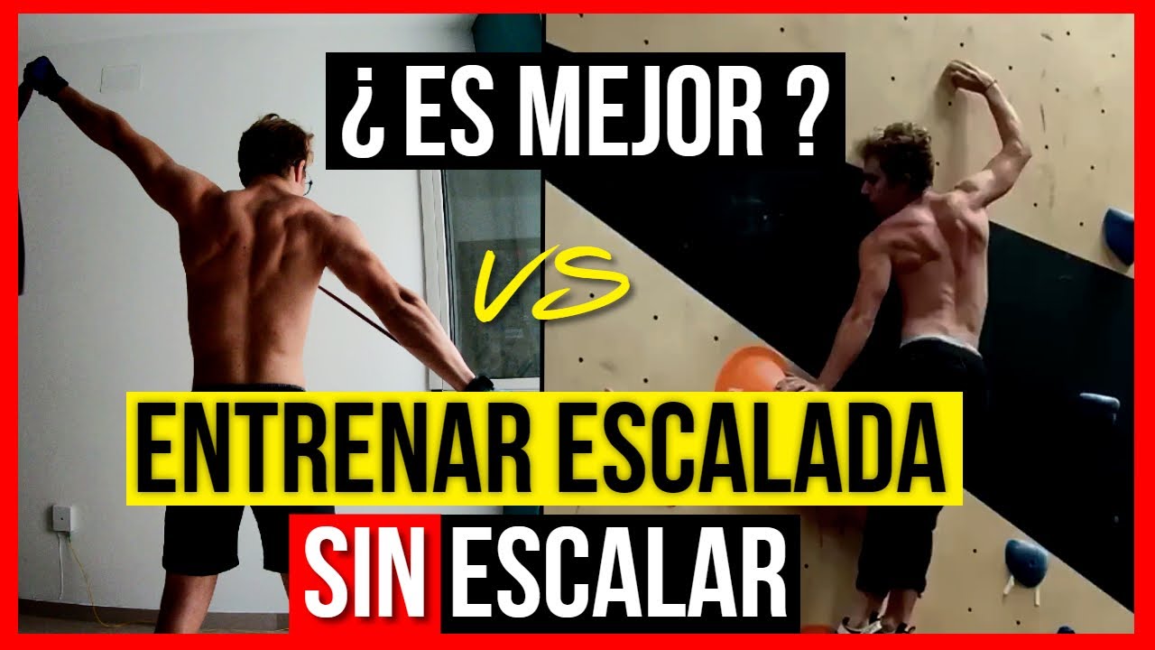 🔴Entrenamiento de escalada SIN ESCALAR #6 /EJERCICIOS para ESCALADA en CASA- EJERCICIOS TRX escalada