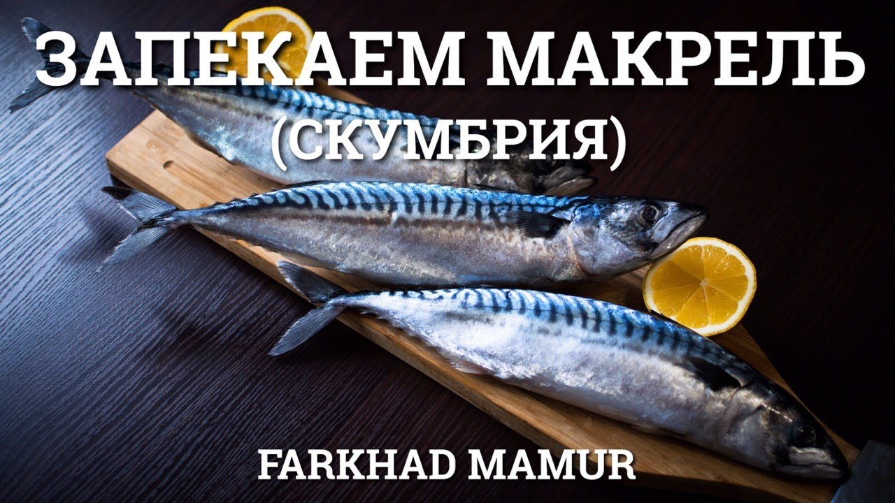 Скумбрия! Макрель