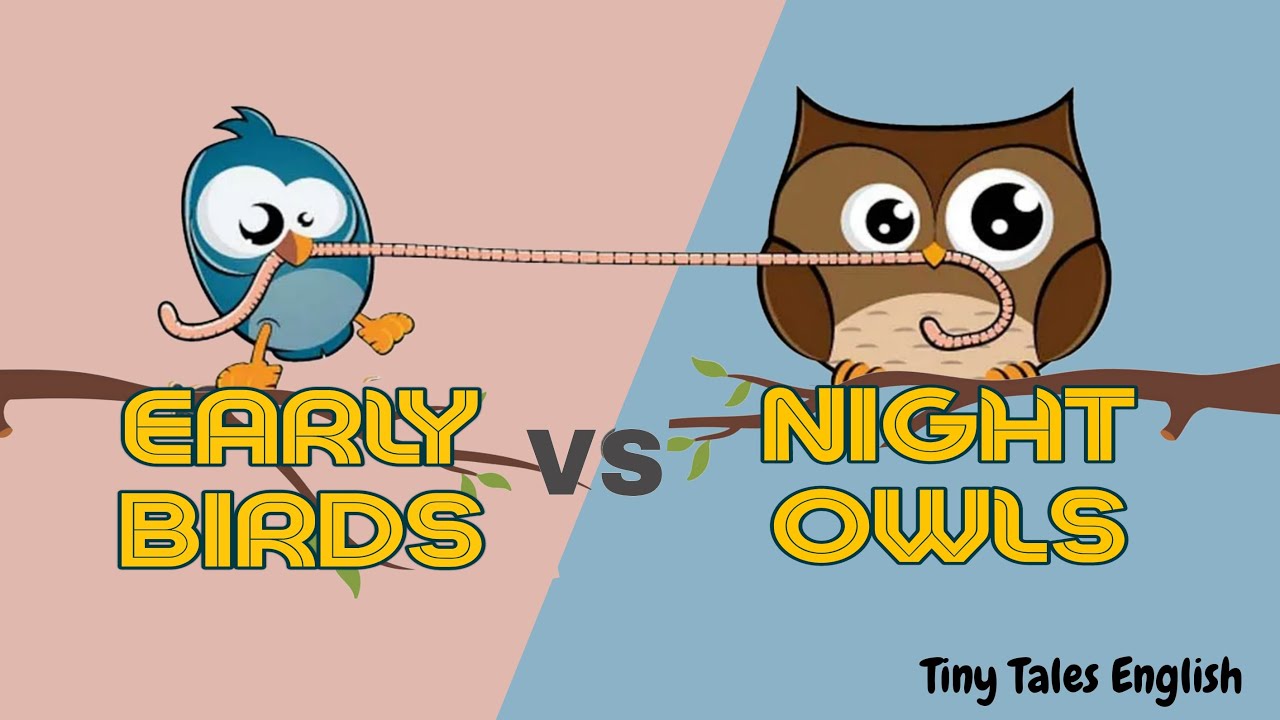 Early Birds vs Night Owls - Which one is better?