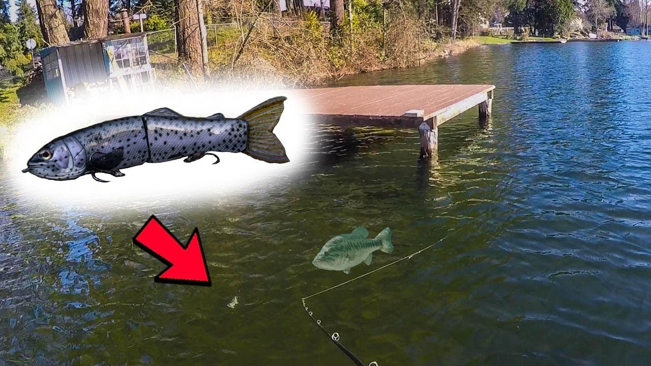 GIANT Fish ATTACKS $200 SwimBait - Glide Bait