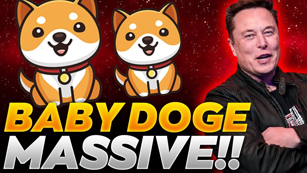 BabyDoge Coin News Today-This is MAssive for Babydoge coin Holders!