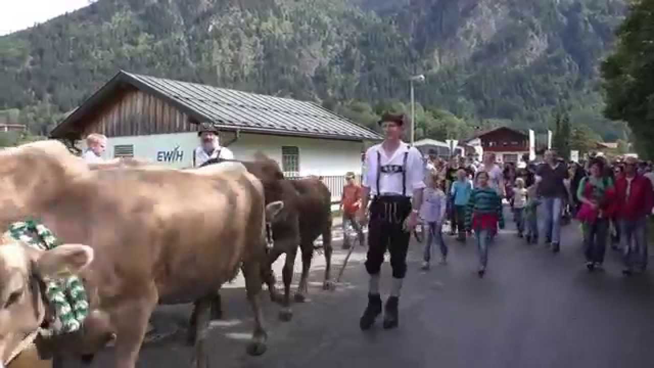 Viehscheid Bad Hindelang 2015
