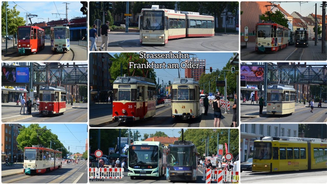 Frankfurt (Oder) 🇩🇪 | Straßenbahn in FFO | Bunter Hering '23 | Trams in Frankfurt am Oder July 2023