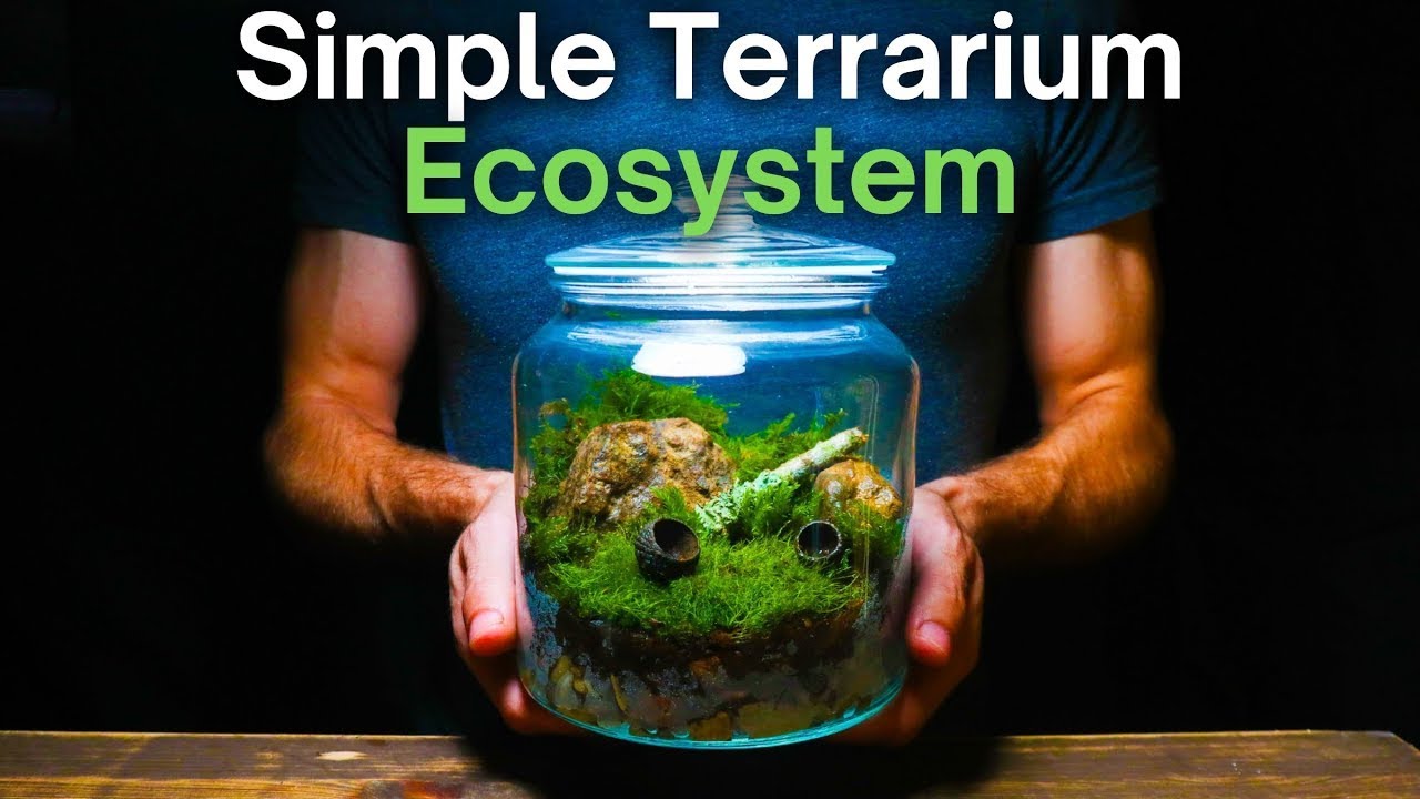 Building a Terrarium From The Forest Floor - Native Terrarium Tutorial