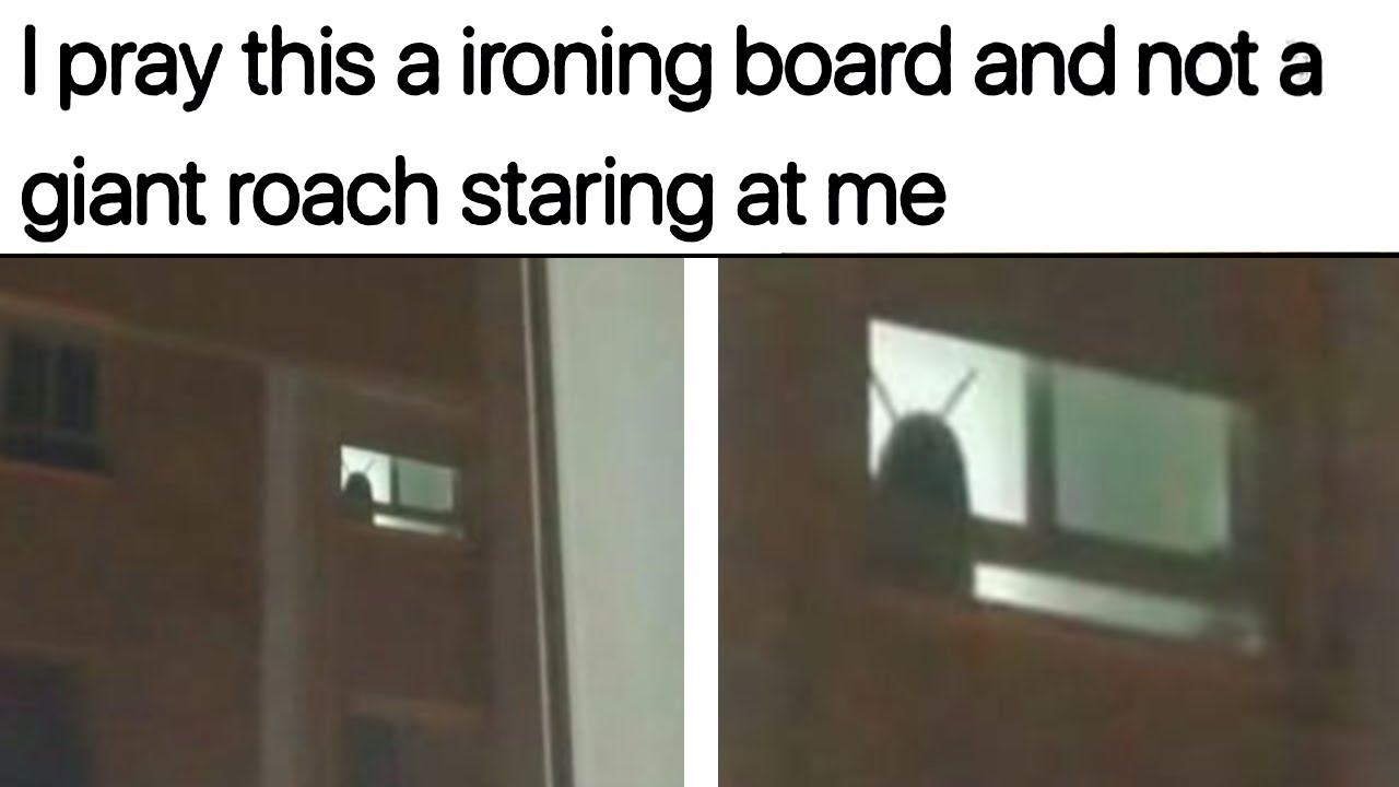 Funniest Memes