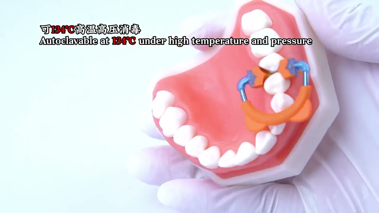 Precision Dental Forceps 