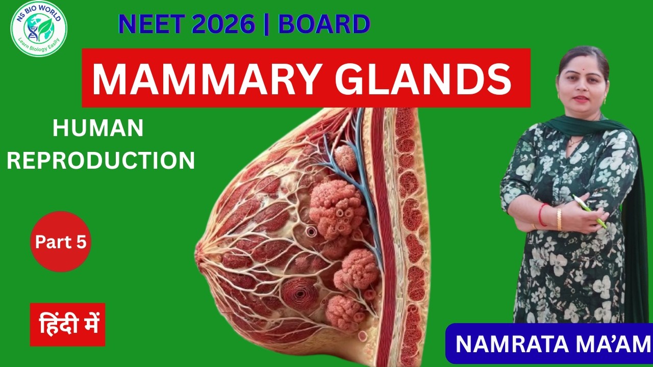 Mammary Gland Structure & Lactation | Human Reproduction Part 5 | NEET 2026
