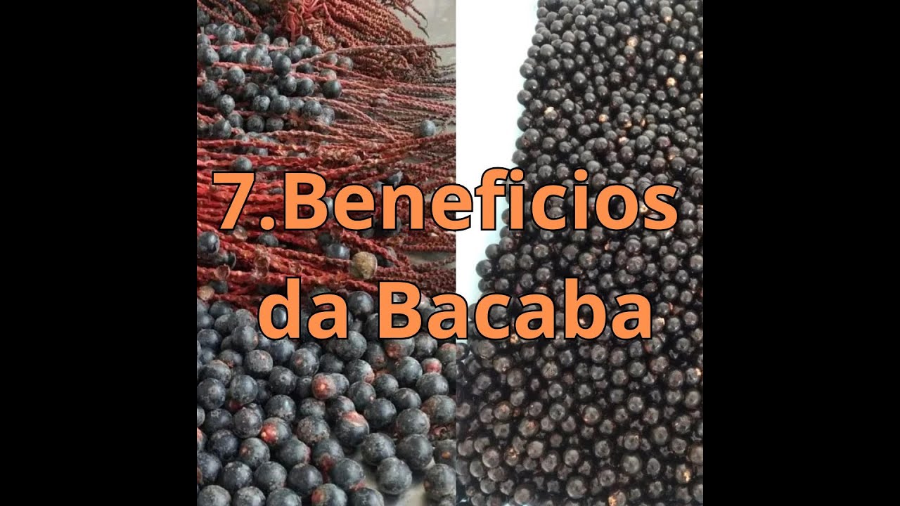 7 beneficios da bacaba