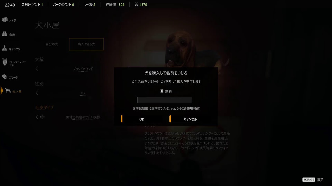 配信テスト