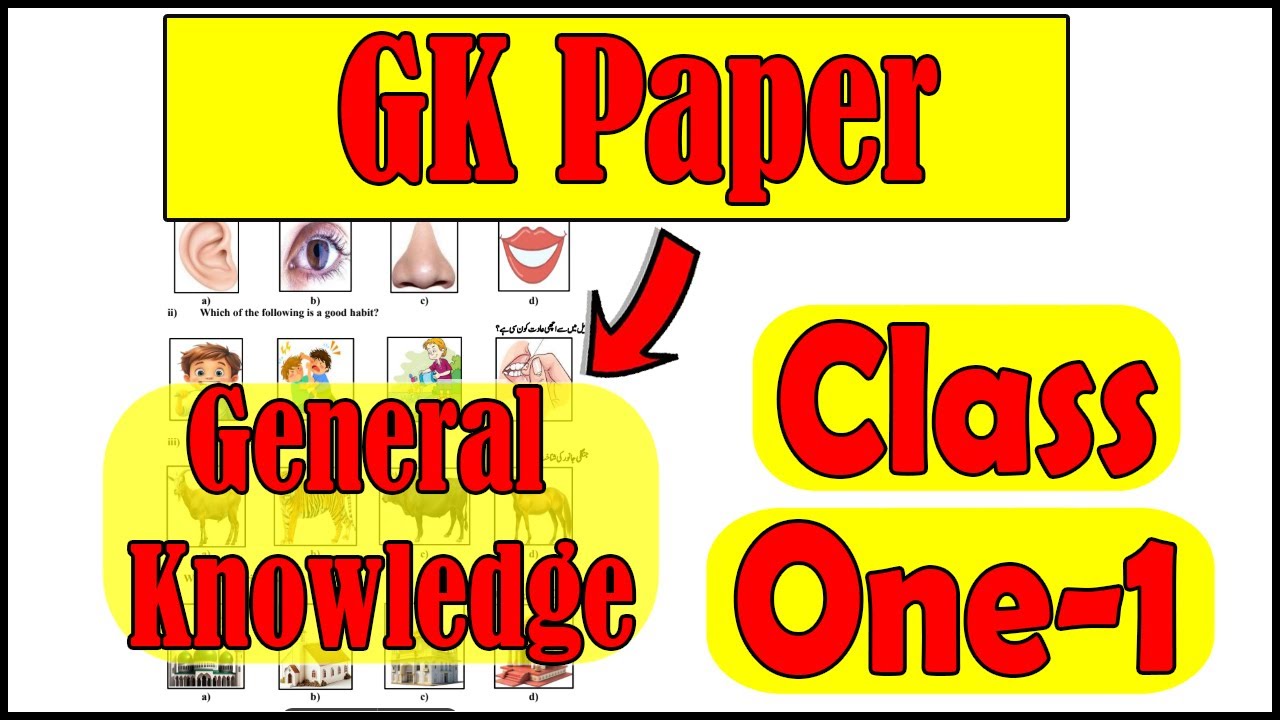 Class 1 General Knowledge School Based Assessment 2025 | 1 Class ka GK ka Paper | SBA  2025
