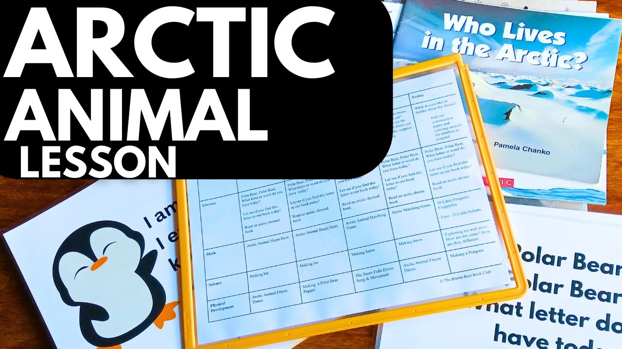 ENGAGING Arctic Animal Lesson Plan for Preschoolers and  Kindergarteners