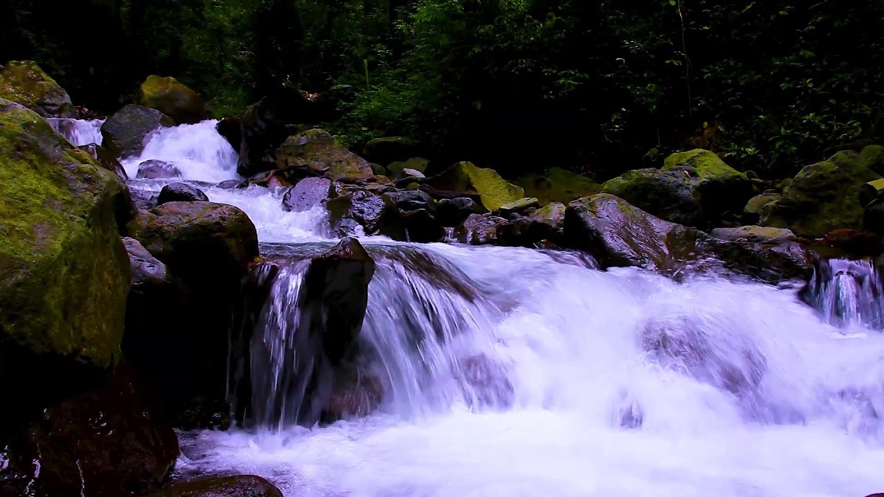 Pure Forest Creek Flow | Soothing Mountain Water White Noise for Sleeping