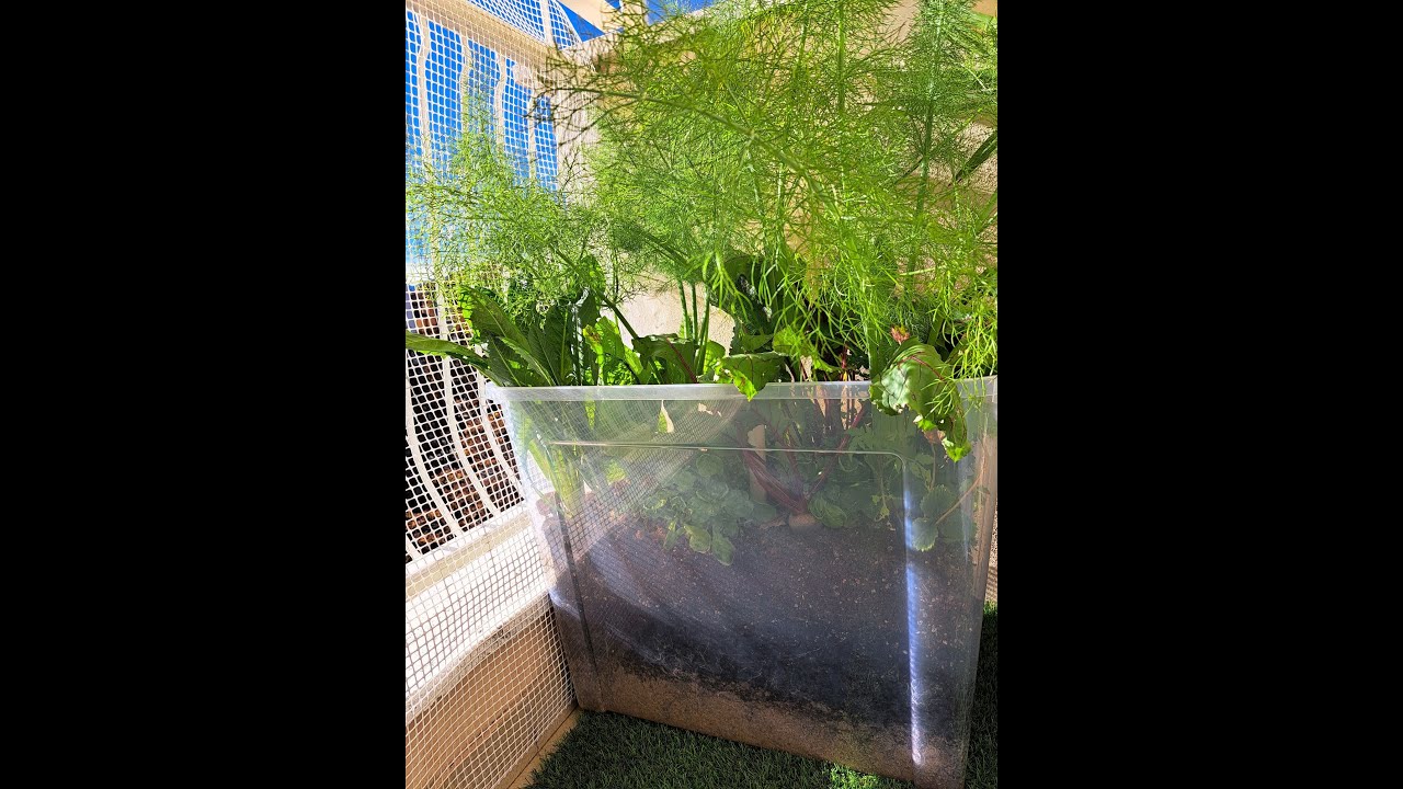 Micro orto da balcone autoirrigante fai da te