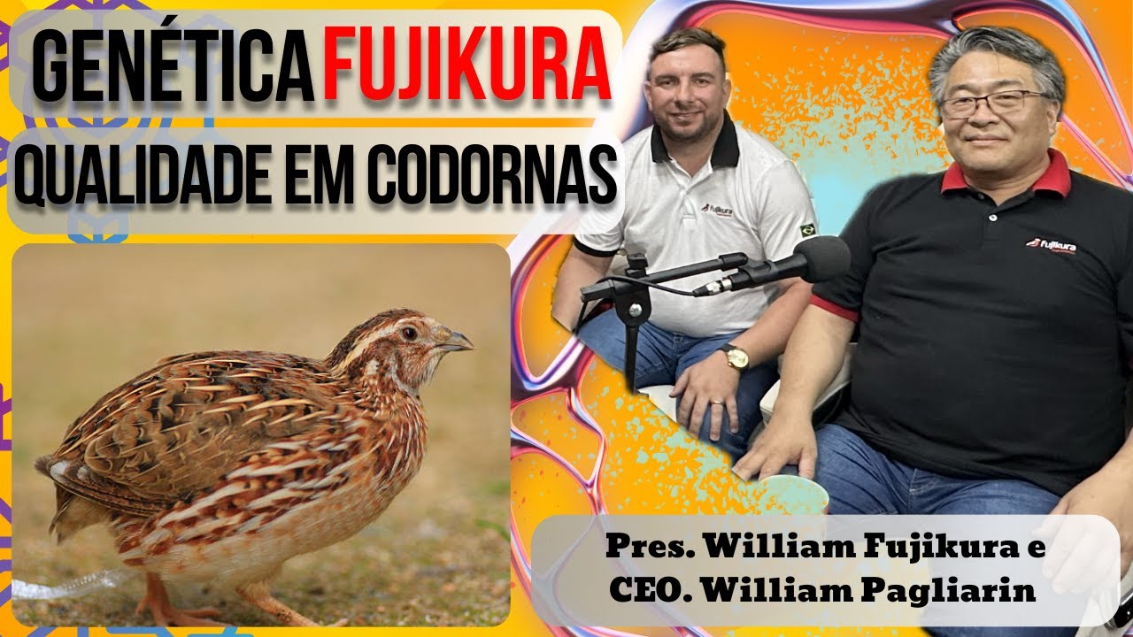 Genética Fujikura: Qualidade em codornas com William Fujikura e William Pagliarin