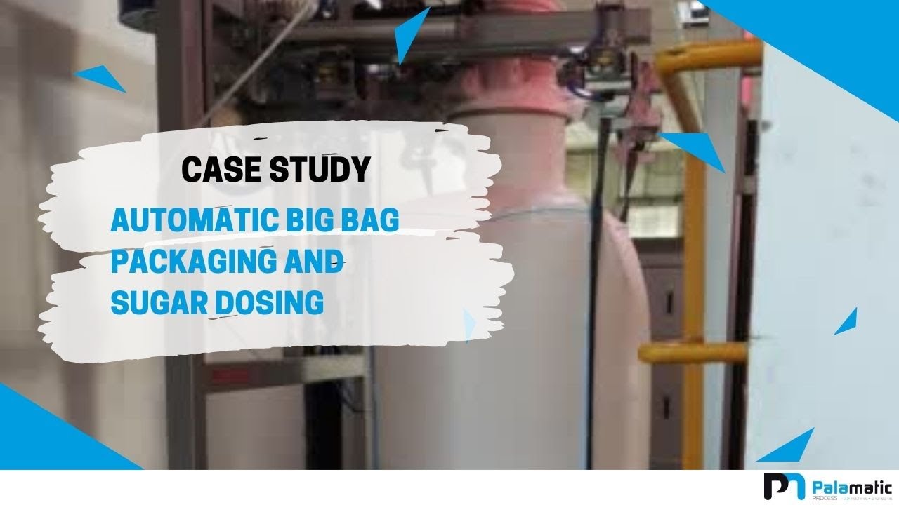 Automatic big bag filler - Big bag filling machine | Palamatic Process Inc.