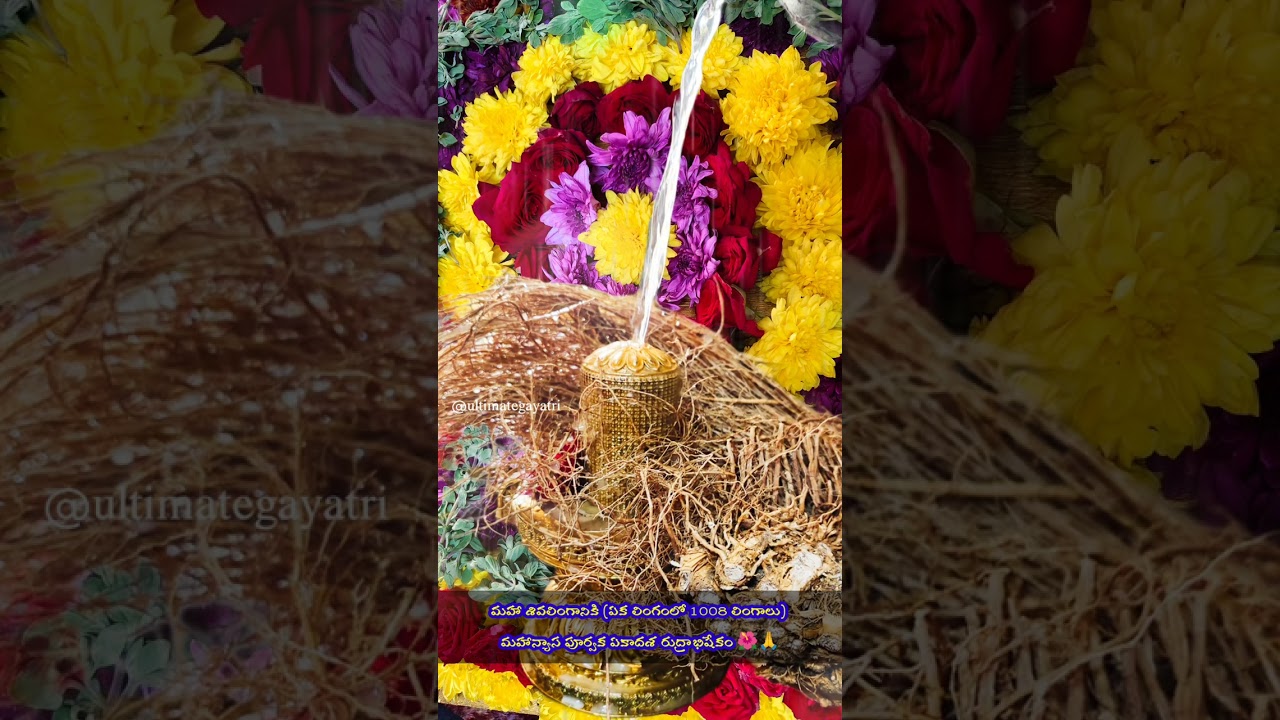 మహా శివలింగానికి (ఏక లింగంలో 1008 లింగాలు) మహాన్యాస పూర్వక ఏకాదశ రుద్రాభిషేకం 🌺🙏