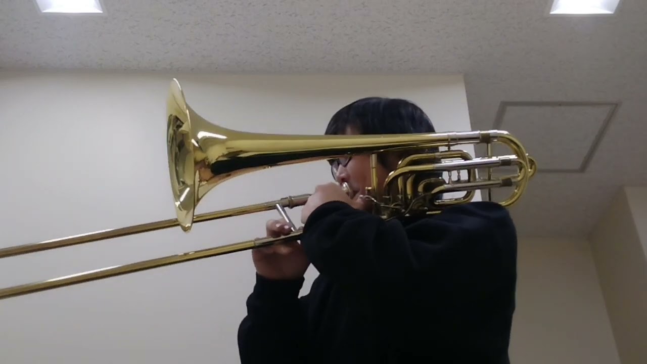 BassTrombone D.Grantham Dos Havanas Cohiba Esplendido