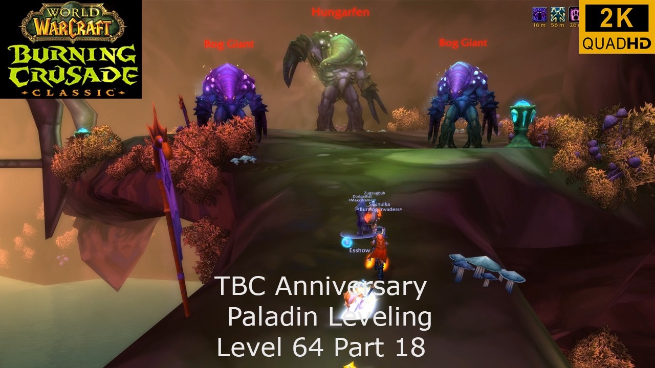 WoW TBC Anniversary | Paladin Leveling | Level 64 Part 18 | Retri Paladin PoV | No Commentary 2K