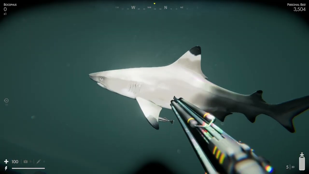 Death in the water 2  (Dive 1)
