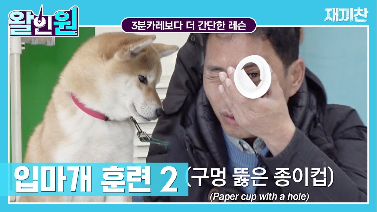 갓찬종의 1분만에 끝내는 강아지 입마개 훈련 2 (준비물 : 구멍뚫린 종이컵, 간식, 열정)