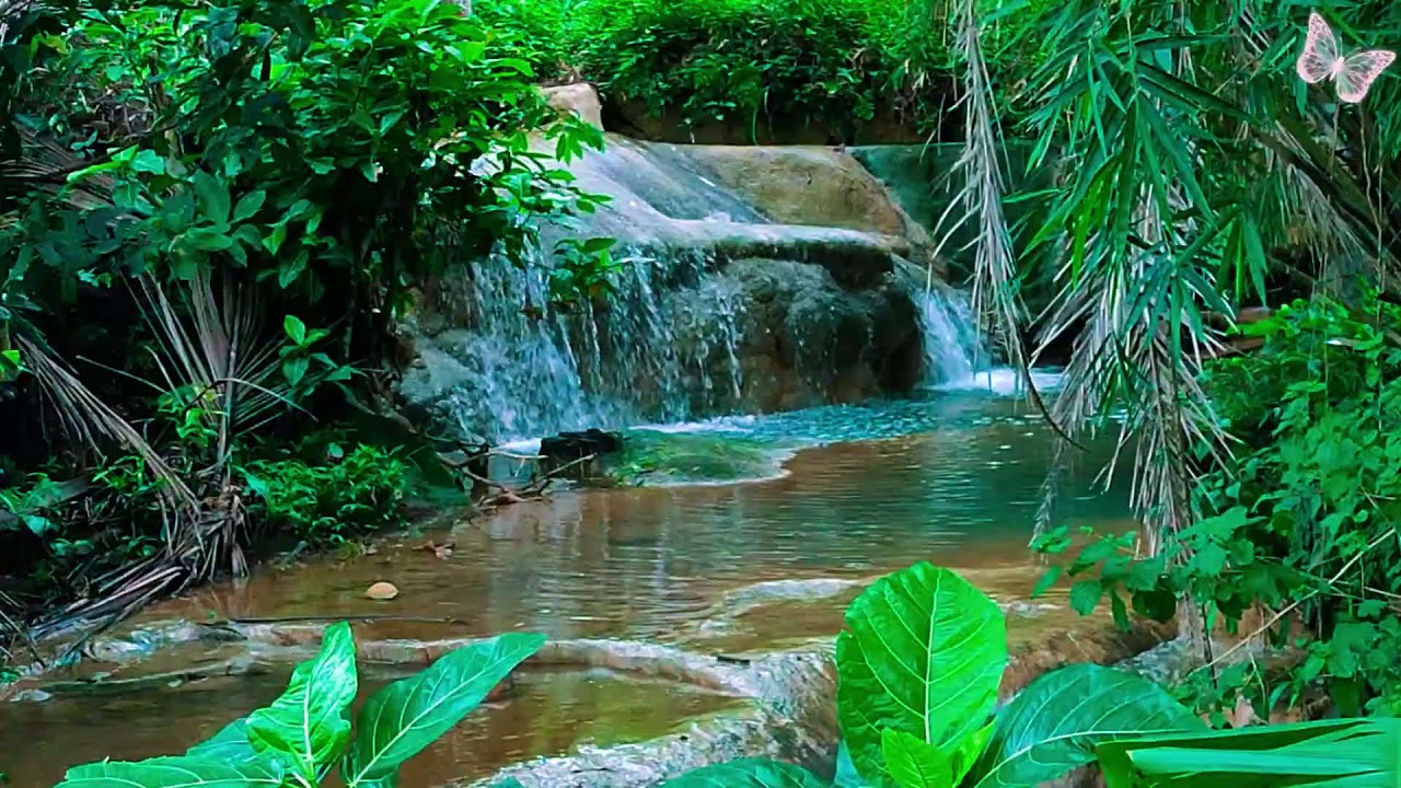 Relaxing Music For Stress Relief, Anxiety and Depressive States🌲 Heal Mind, Body and Soul Relax 14