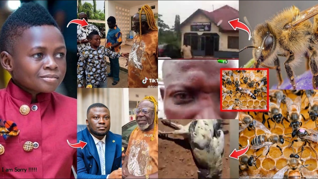 Yaw Dabo Finally Forgives Oboy Siki after Minister's Intervention + Bees attáck Gomoa Police station