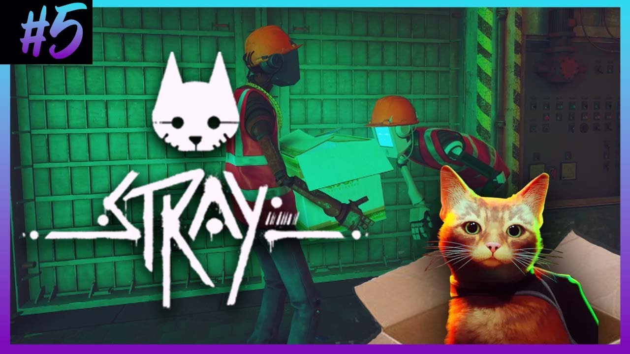 KOCI PLAN kt&oacute;ry ZAWSZE WYPALI! *NECO Corp* |Stray #5|