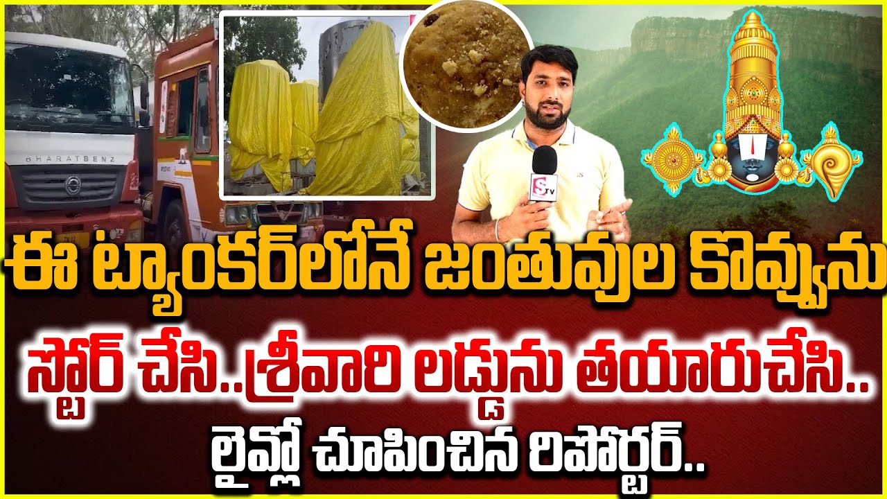 Animal Fat In Tirumala Srivari Laddu|Tirupati Laddu Controversy in Telugu|#ttdladdu|Tirupathi laddu