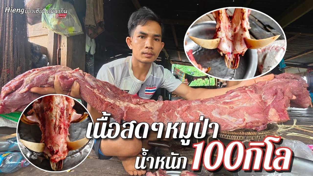 เนื้อสดๆหมูป่าน้ำหนัก100กิโล// ເນື້ອສົດຫມູປ່ານຳຫນັກ100ກິໂລ. Hieng บ่าวเฮียง คนหากิน