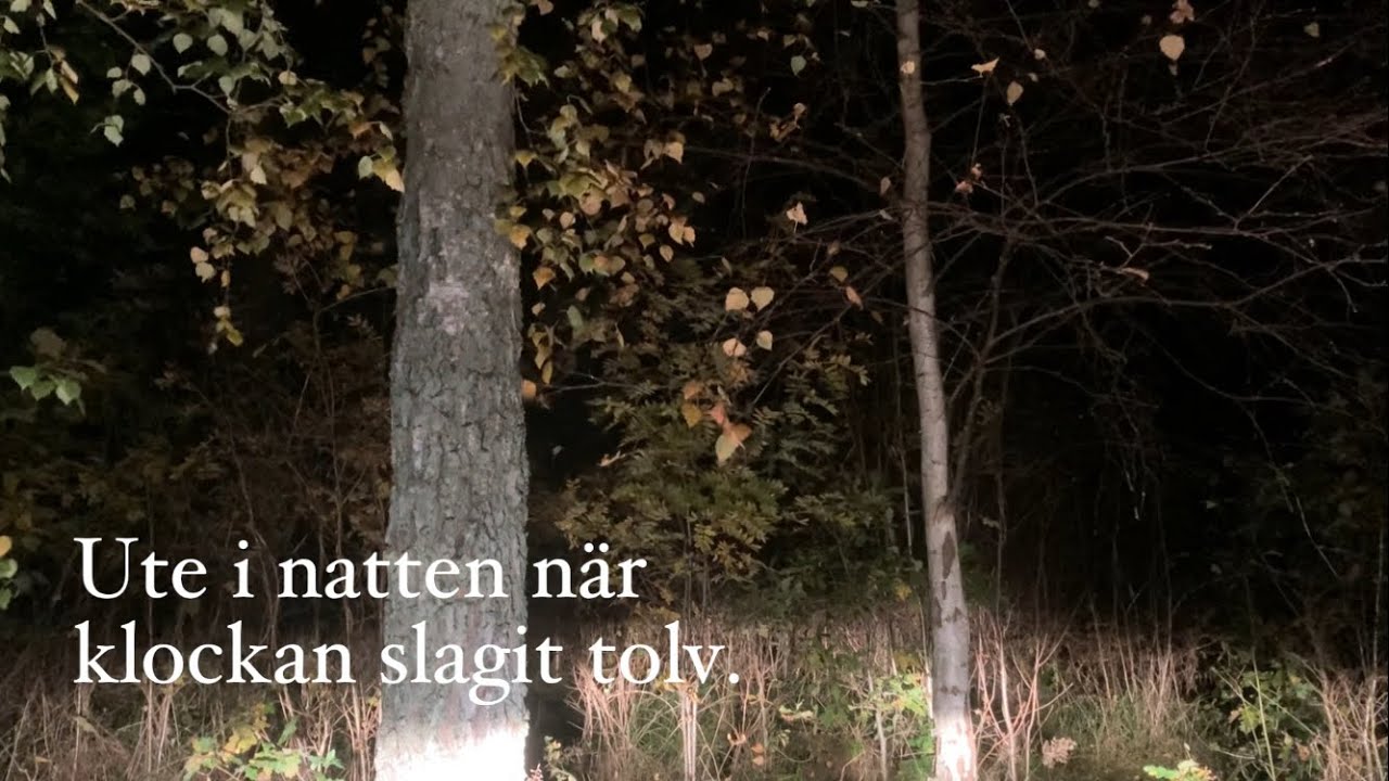 Sp&ouml;ks&aring;ng: Finns det sp&ouml;ken i skogen (med text) | Halloweens&aring;nger barn | Lagom l&auml;skig musik