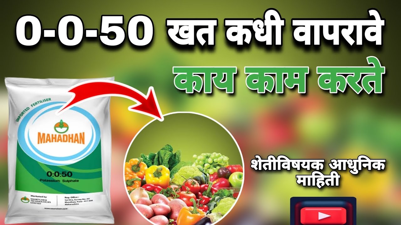 0 0 50 चे फायदे | 0 0 50 che fayde | 0 0 50 चे फायदे marathi (@digital_yuva_shetkari)
