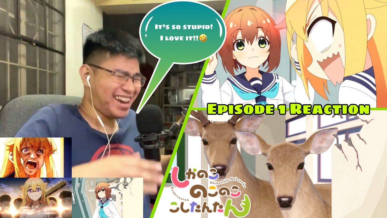 A DUMB FUN SHOW! | My Deer Friend Nokotan Episode 1 REACTION
