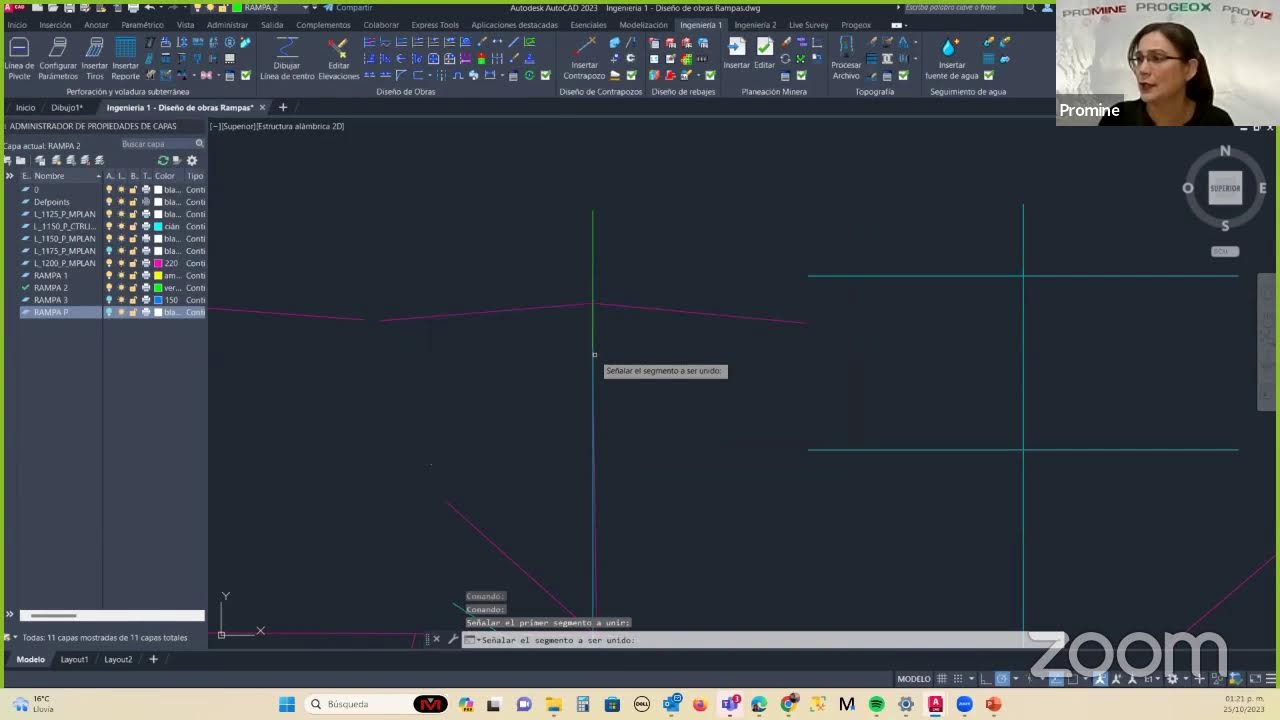 Diseño de Obras - Webinar