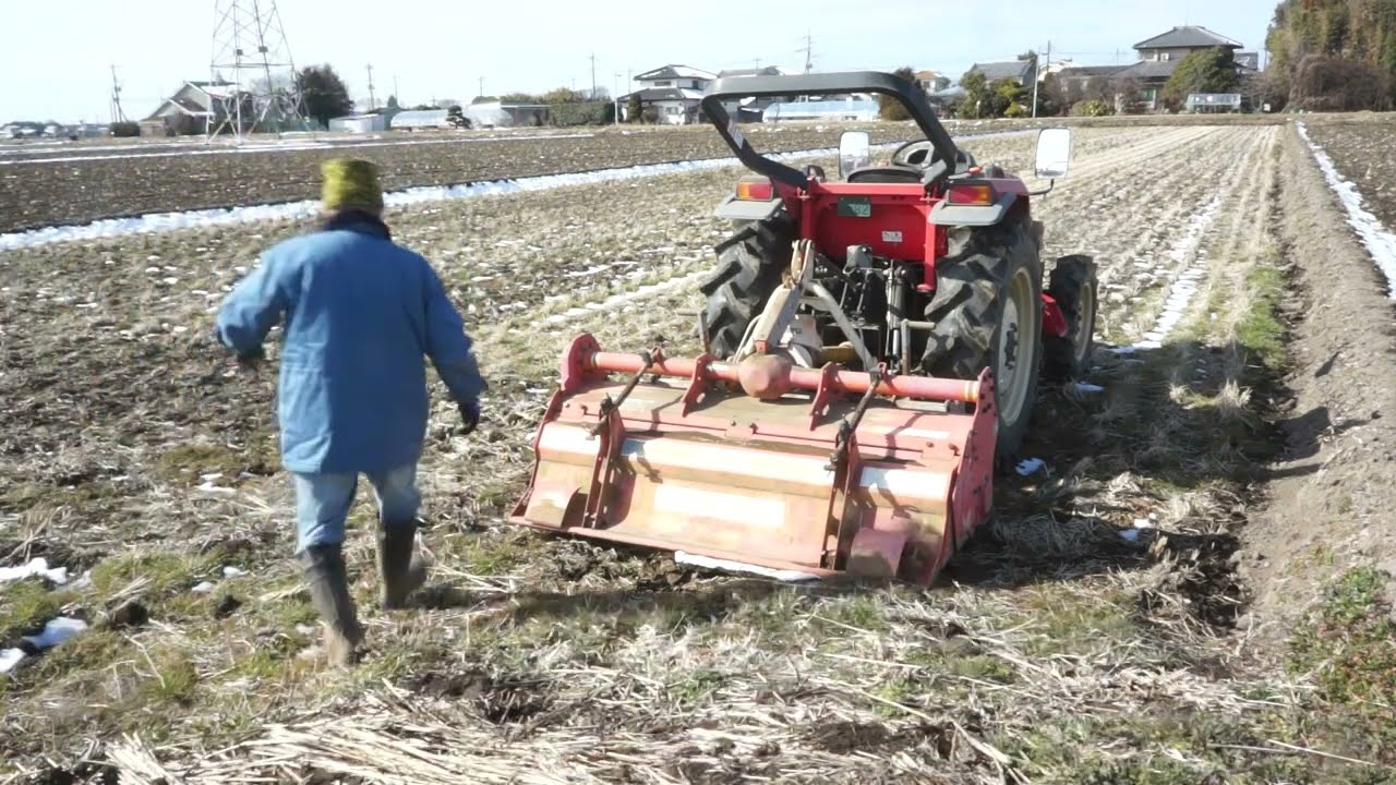 田圃　田起こし　寒晒し　2日目　2月10日