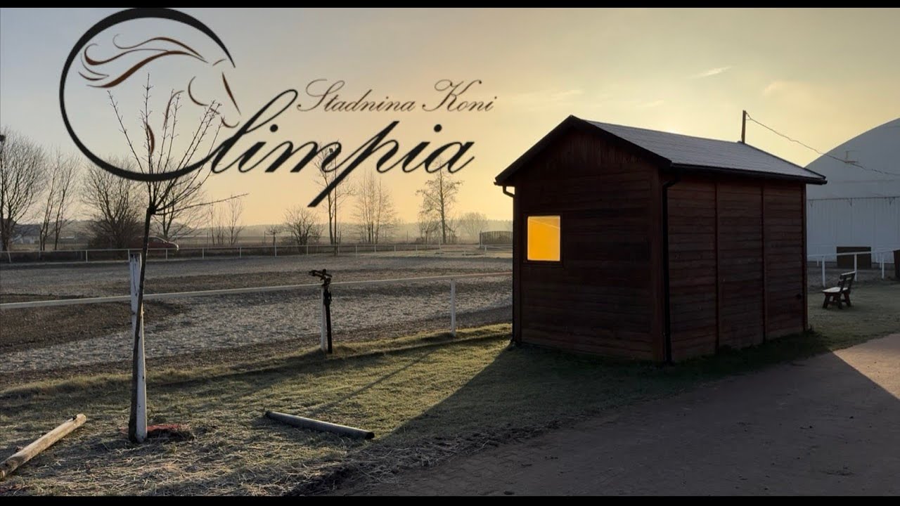 Stadnina Koni Olimpia 18I25