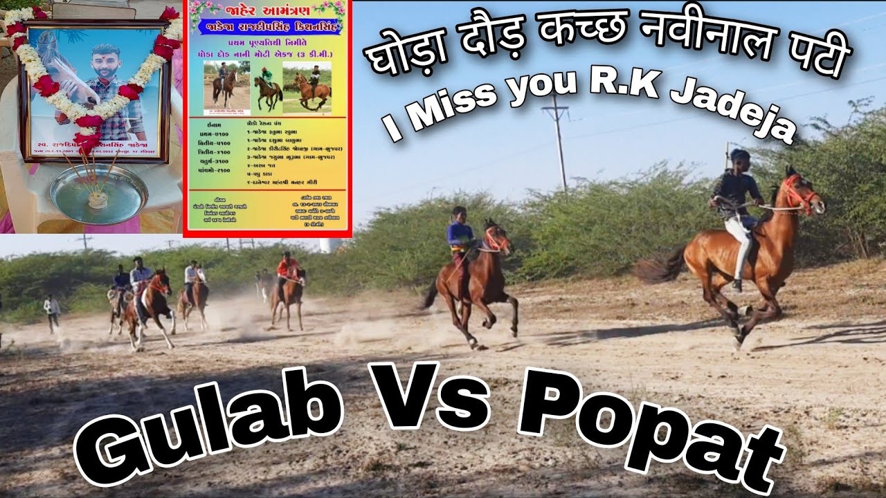 Horse Racing At Navinal Patti Mundra ( Gulab Vs Popat ) घोड़ा दौड़ कच्छ नवीनाल ( गुलाब और पोपट )