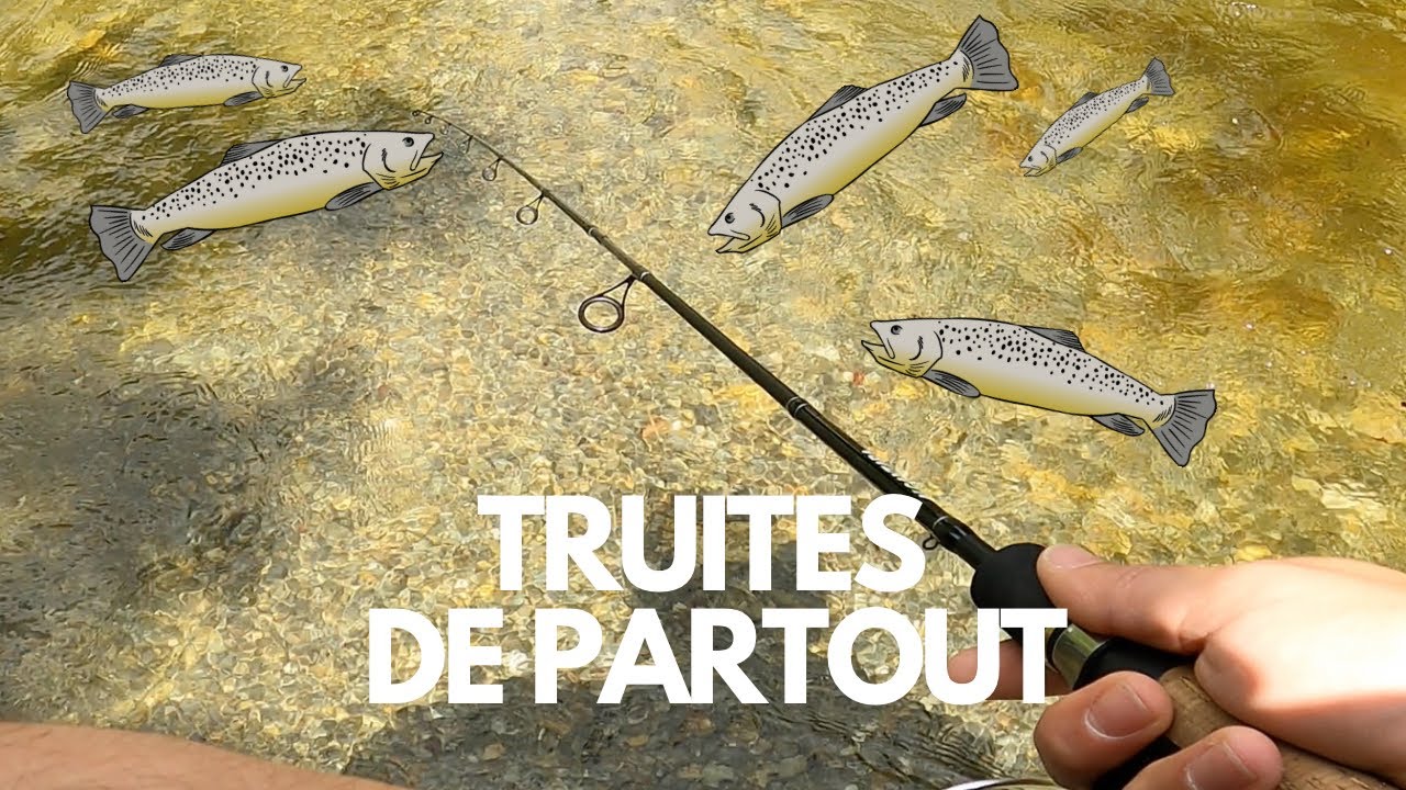 Pêche de la TRUITE à la cuillère dans les Pyrénées