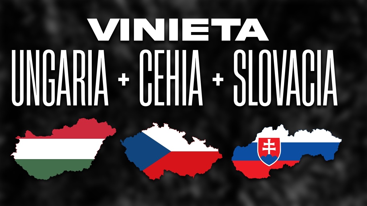 Cum poti cumpara vinieta pentru Ungaria, Cehia si Slovacia simultan | Tutorial explicativ