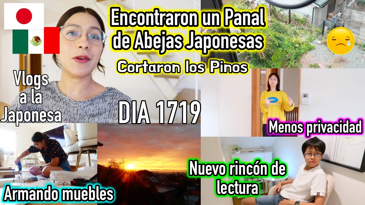 CORTARON LOS PINOS &iexcl;Me sent&iacute; triste! 😞 + Acomodando Rincones del HOGAR JAP&Oacute;N - Ruthi San ♡ 18-10-25
