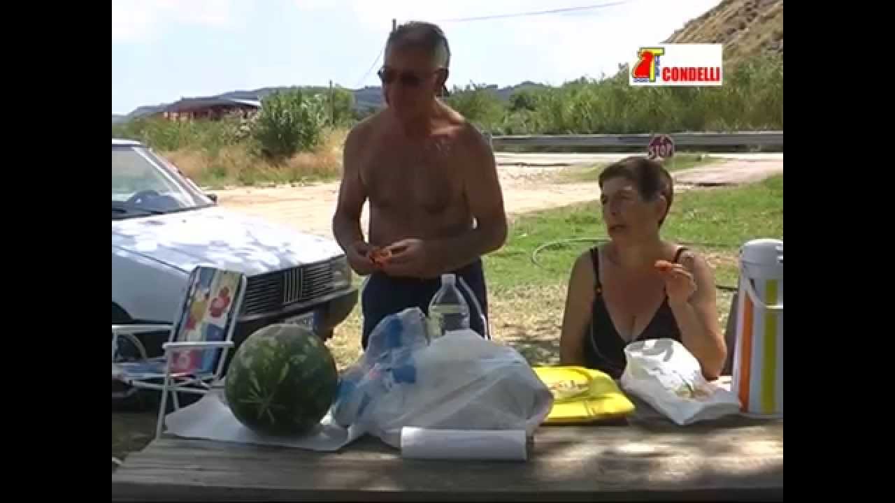 Tre cagnolini abbandonati alla Terme di Cotronei - ANPANA Calabria e Sicilia