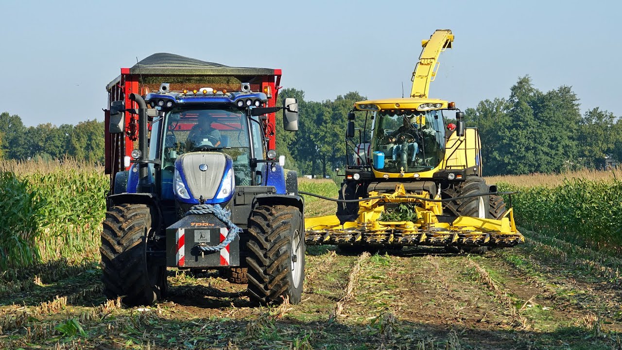 Mais Silage | New Holland FR9050 + T7.230 | H. Korenberg & Rozeboom | 2024