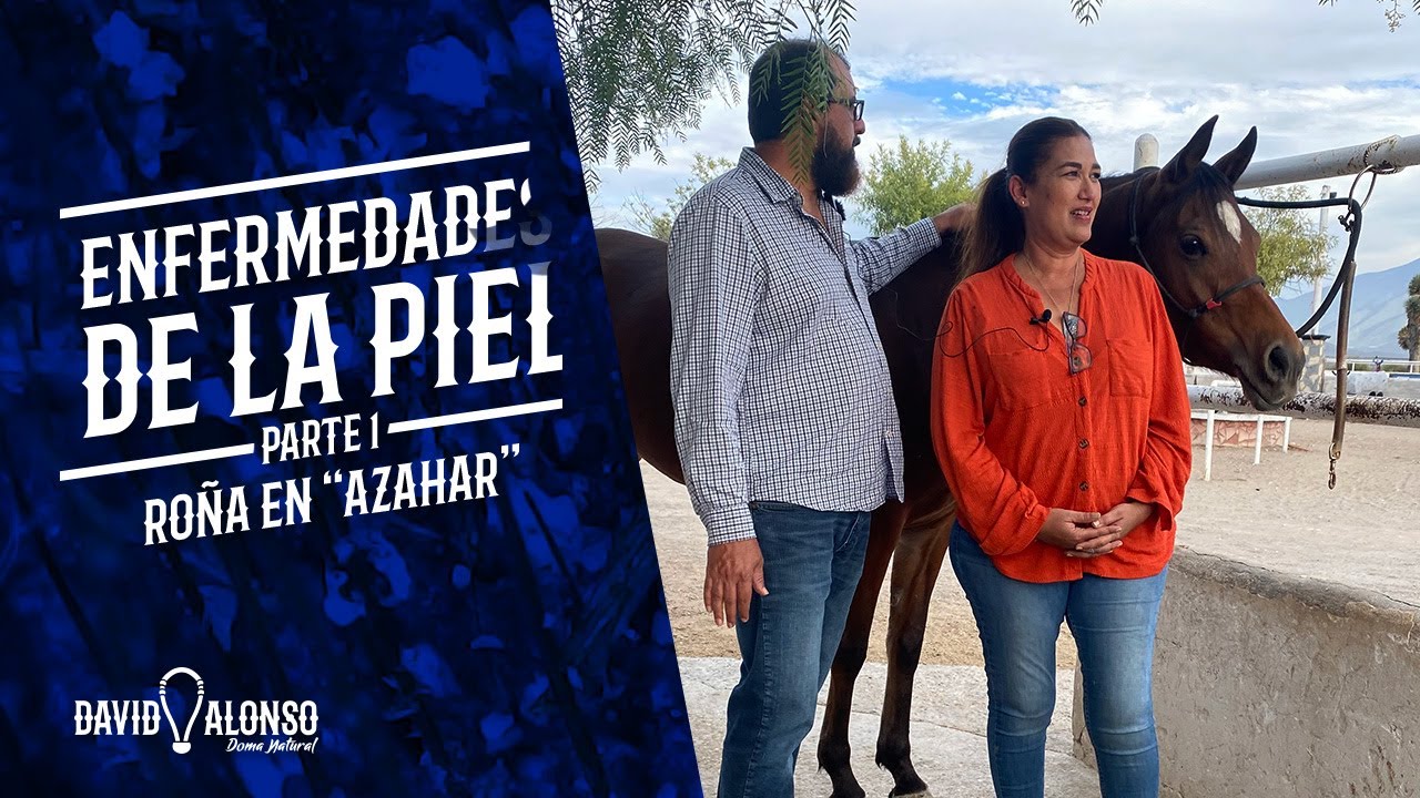 Enfermedades de la piel: roña en 