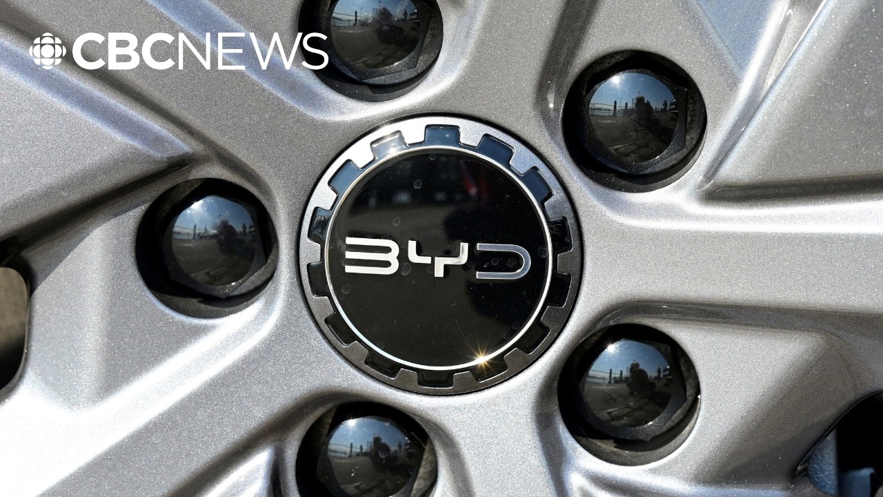 Chinese EV giant BYD accused of forced labour at Hungarian factory