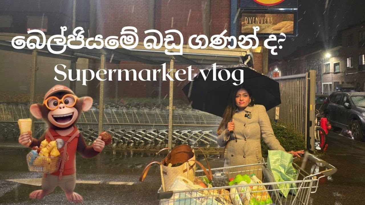 SUPERMARKET VLOG 🇧🇪 / බෙල්ජියමේ බඩු ගිනි ගනන්ද? #supermarket #world  #belgium #ExploreNewThings