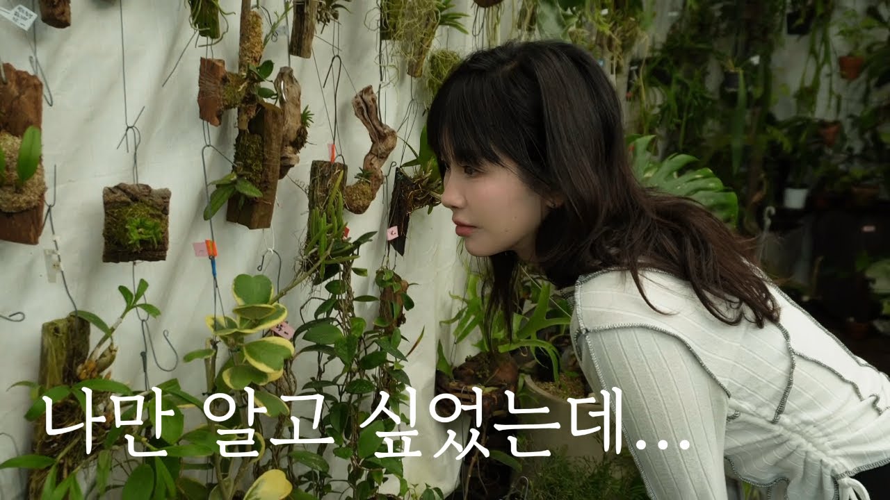 봄맞이 식물 쇼핑 장소 5곳 대방출합니다 🛒 | 귀여운 동물들 구경은 덤 🐾