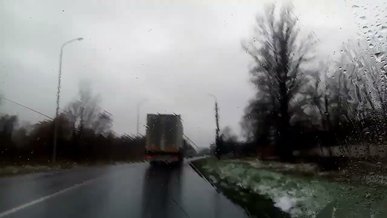 Білий сніг на зеленому листі...