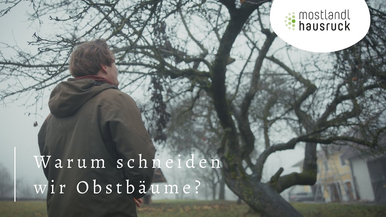 1 Warum schneiden wir Obstbäume