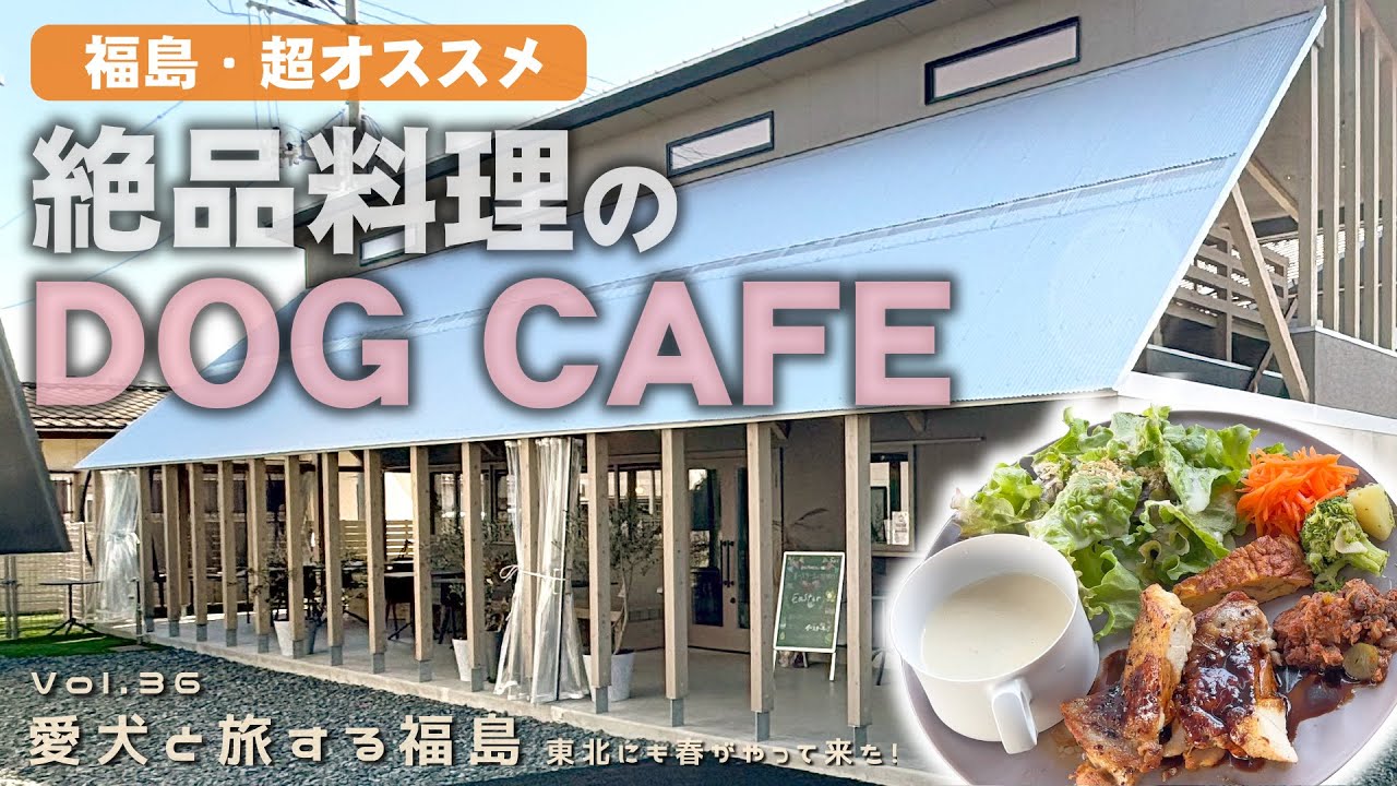 36話 愛犬と旅する福島　東北にも春がやって来た！