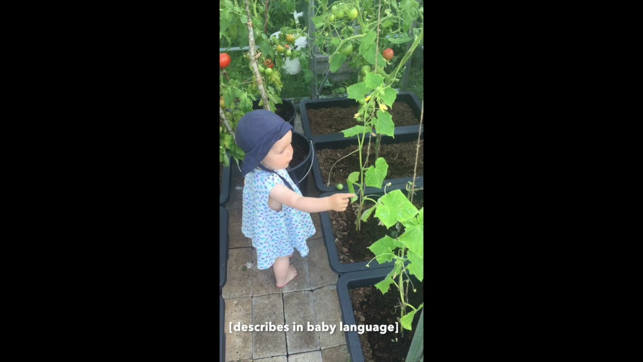 BABY PEES IN GREENHOUSE