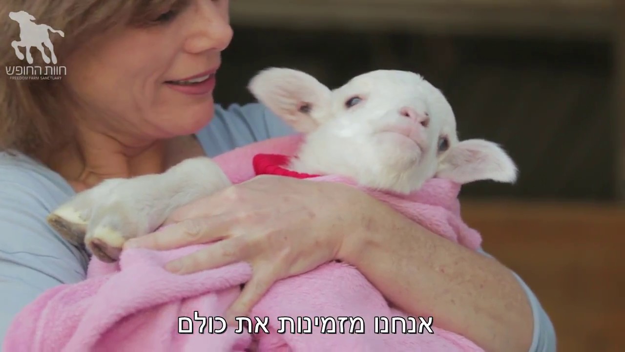 על מיזם חוות החופש